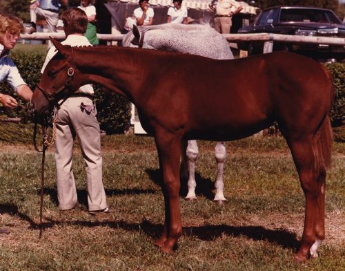 pr00200